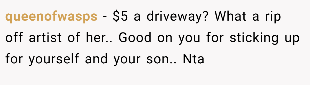 queenofwasps − $5 a driveway? What a rip off artist of her.. Good on you for sticking up for yourself and your son.. Nta