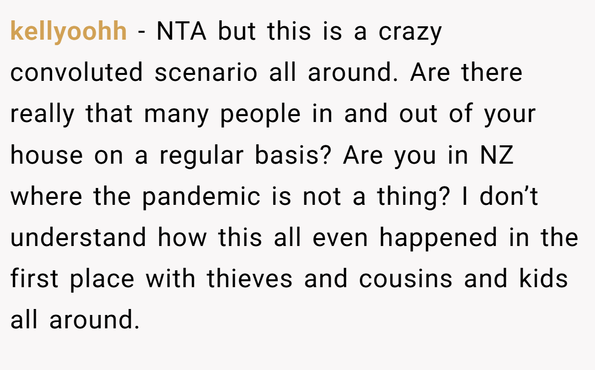 kellyoohh − NTA but this is a crazy convoluted scenario all around. Are there really that many people in and out of your house on a regular basis? Are you in NZ where the pandemic is not a thing? I don’t understand how this all even happened in the first place with thieves and cousins and kids all around.