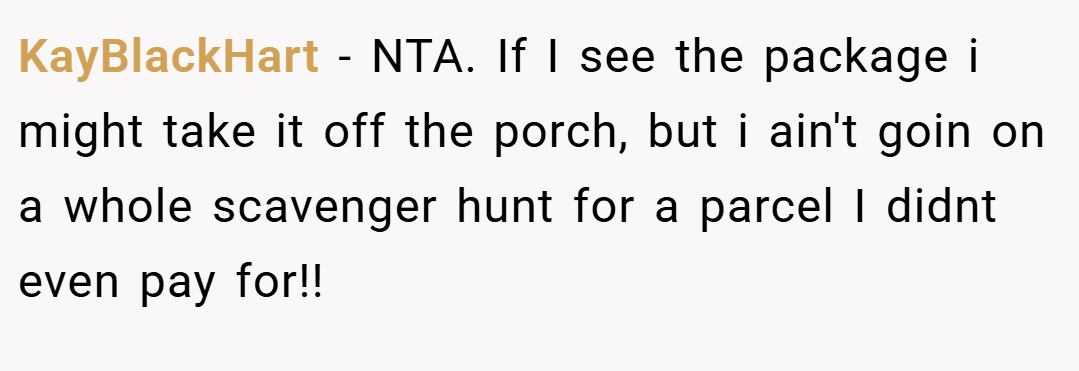 KayBlackHart − NTA. If I see the package i might take it off the porch, but i ain't goin on a whole scavenger hunt for a parcel I didnt even pay for!!