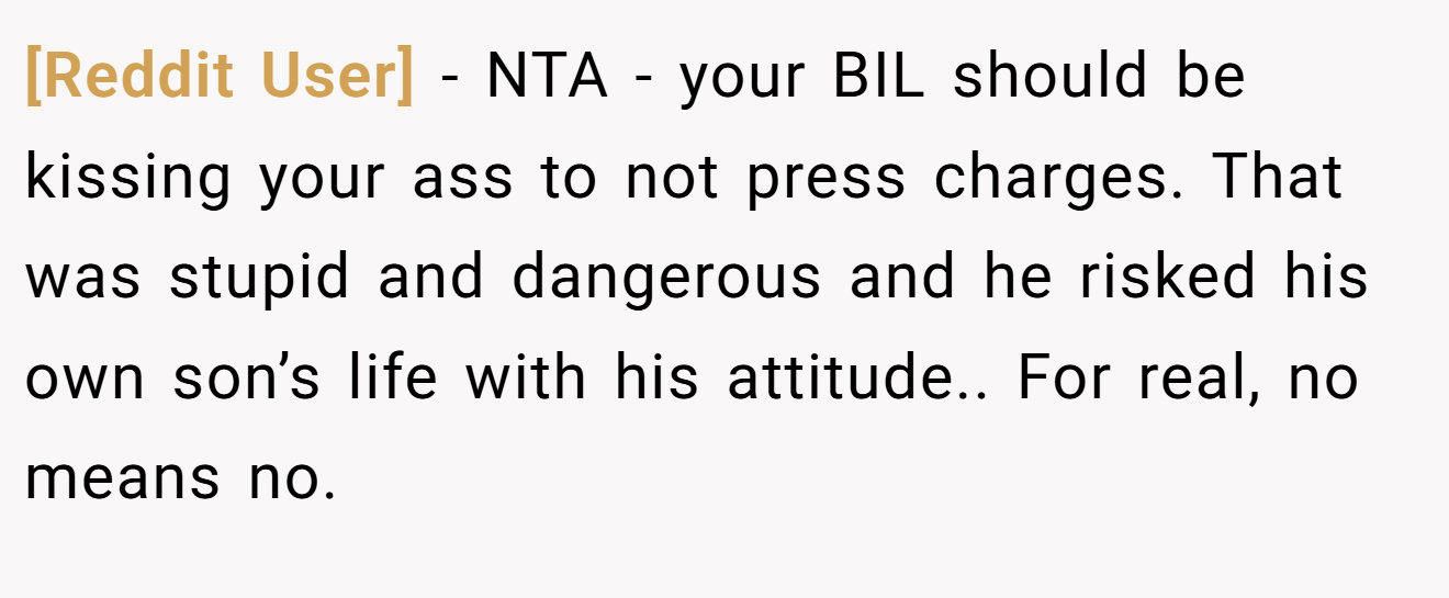 [Reddit User] - NTA - your BIL should be kissing your ass to not press charges. That was stupid and dangerous and he risked his own son’s life with his attitude.. For real, no means no.