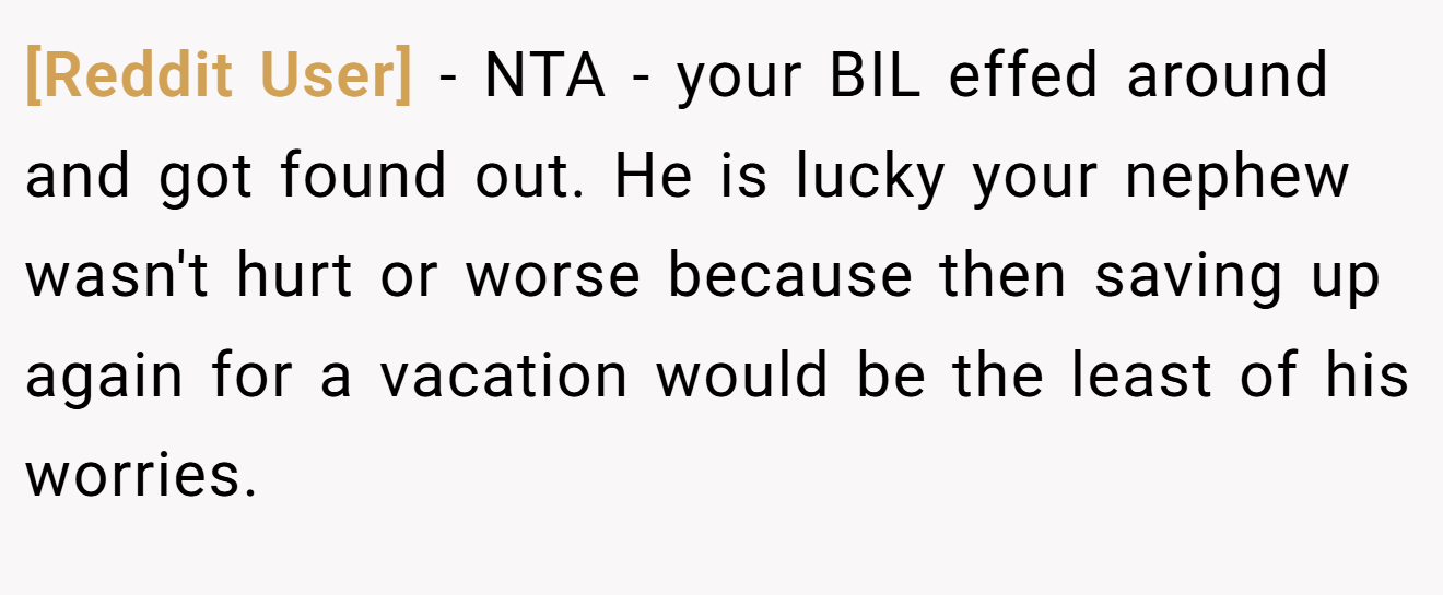 [Reddit User] - NTA - your BIL effed around and got found out. He is lucky your nephew wasn't hurt or worse because then saving up again for a vacation would be the least of his worries.