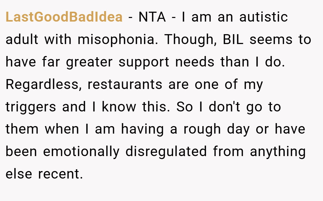 LastGoodBadIdea − NTA - I am an autistic adult with misophonia. Though, BIL seems to have far greater support needs than I do. Regardless, restaurants are one of my triggers and I know this. So I don't go to them when I am having a rough day or have been emotionally disregulated from anything else recent.