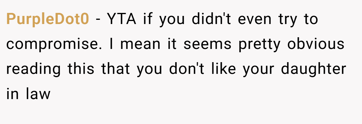 PurpleDot0 - YTA if you didn't even try to compromise. I mean it seems pretty obvious reading this that you don't like your daughter in law