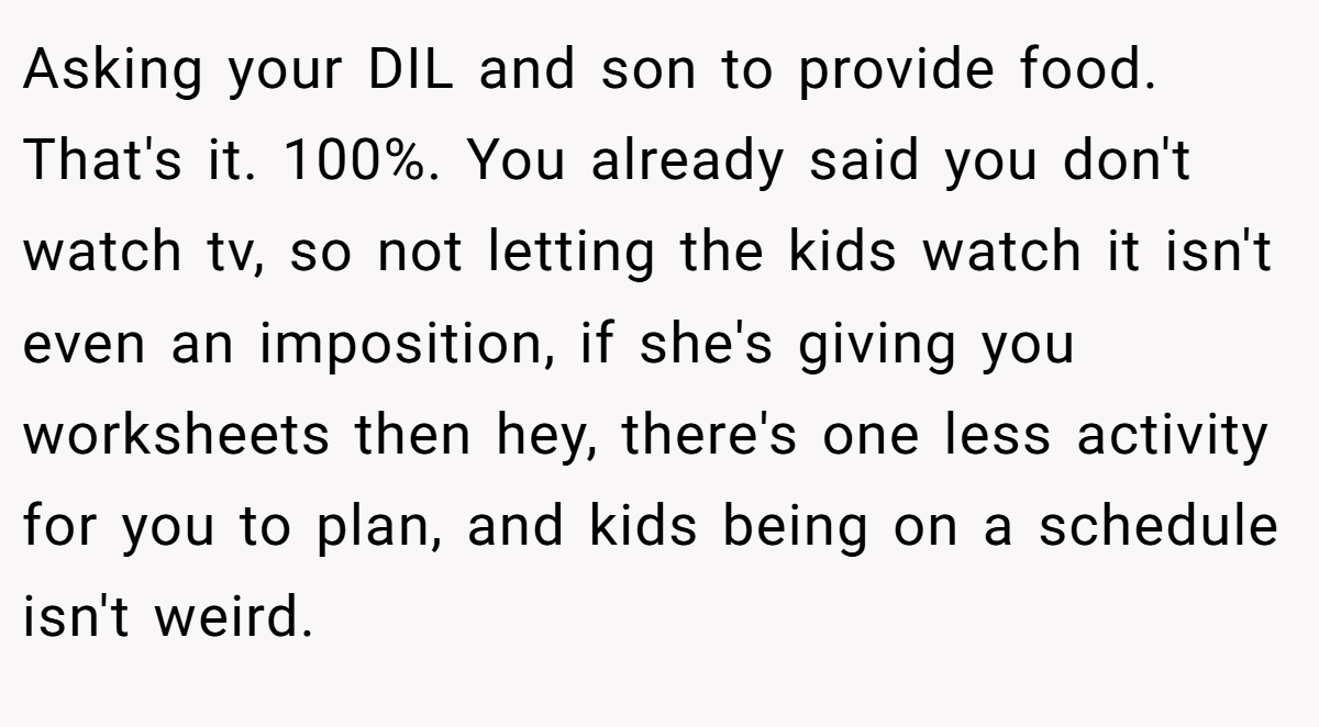 Asking your DIL and son to provide food. That's it. 100%. You already said you don't watch tv, so not letting the kids watch it isn't even an imposition, if she's giving you worksheets then hey, there's one less activity for you to plan, and kids being on a schedule isn't weird.