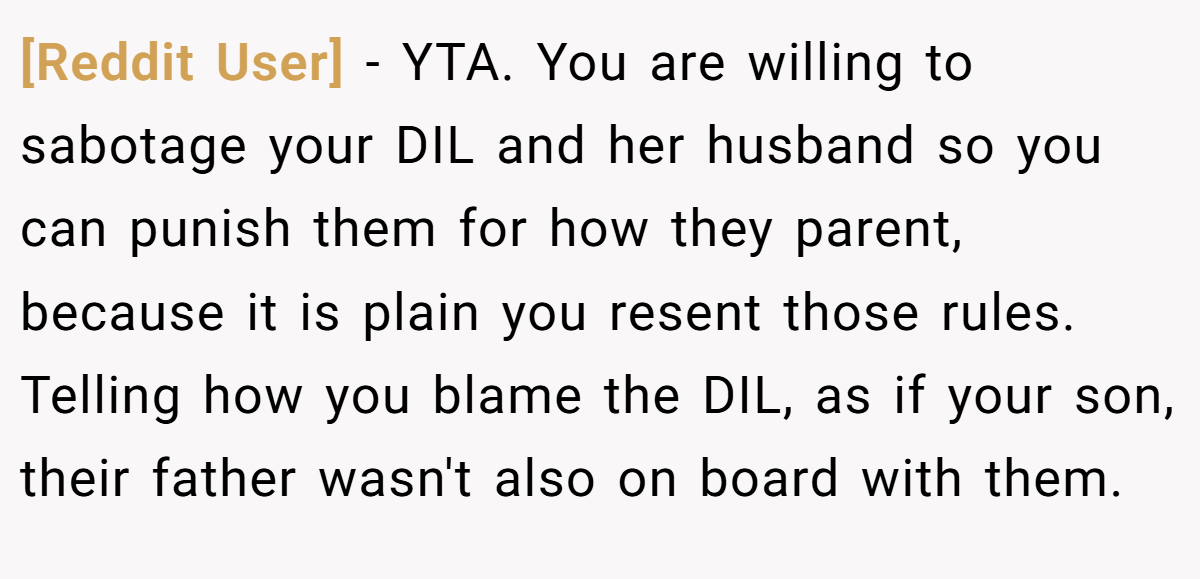 [Reddit User] - YTA. You are willing to sabotage your DIL and her husband so you can punish them for how they parent, because it is plain you resent those rules. Telling how you blame the DIL, as if your son, their father wasn't also on board with them.