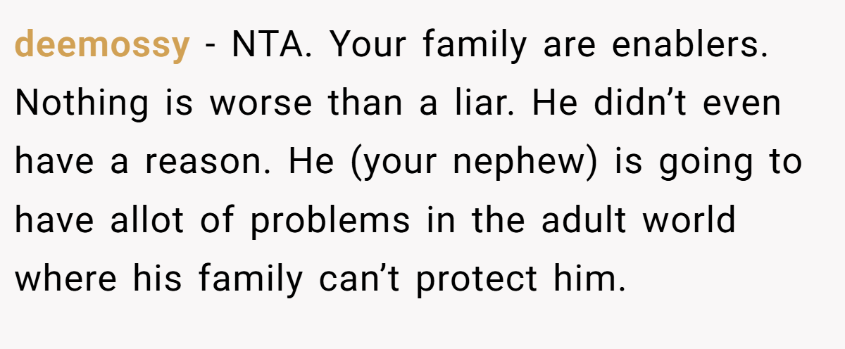 deemossy − NTA. Your family are enablers. Nothing is worse than a liar. He didn’t even have a reason. He (your nephew) is going to have allot of problems in the adult world where his family can’t protect him.