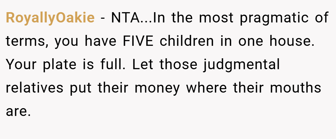 RoyallyOakie − NTA...In the most pragmatic of terms, you have FIVE children in one house. Your plate is full. Let those judgmental relatives put their money where their mouths are.