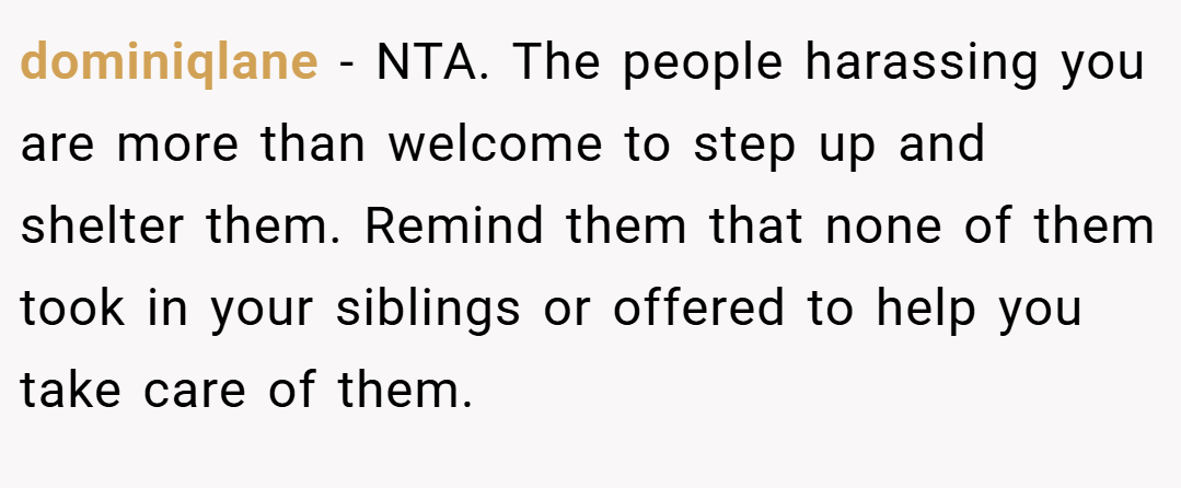 dominiqlane − NTA. The people harassing you are more than welcome to step up and shelter them. Remind them that none of them took in your siblings or offered to help you take care of them.