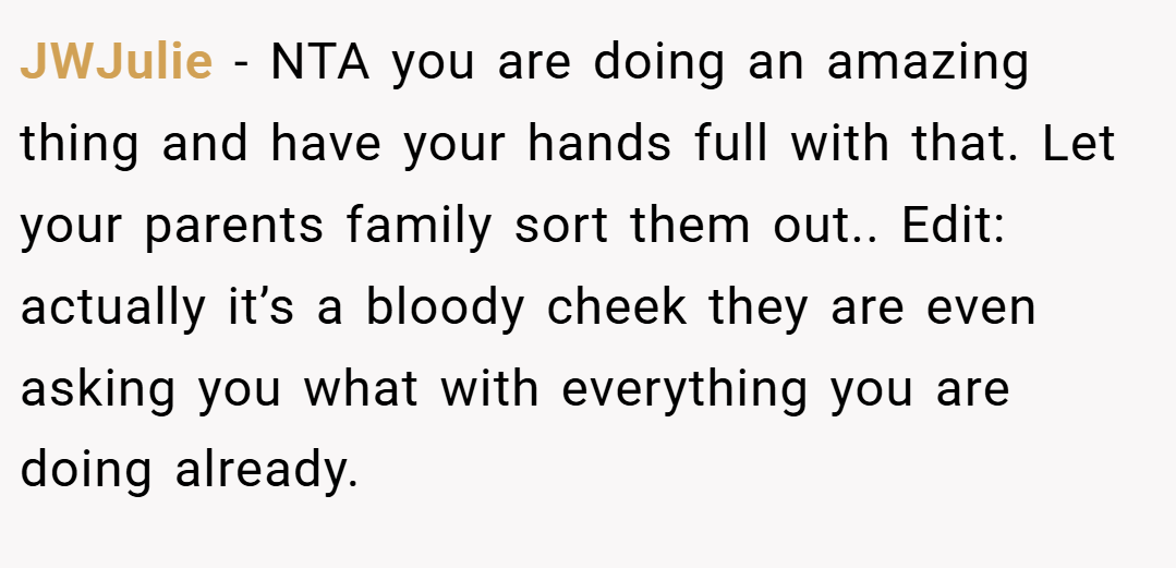 JWJulie − NTA you are doing an amazing thing and have your hands full with that. Let your parents family sort them out.. Edit: actually it’s a bloody cheek they are even asking you what with everything you are doing already.