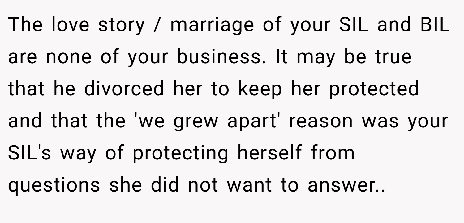 The love story / marriage of your SIL and BIL are none of your business. It may be true that he divorced her to keep her protected and that the 'we grew apart' reason was your SIL's way of protecting herself from questions she did not want to answer..