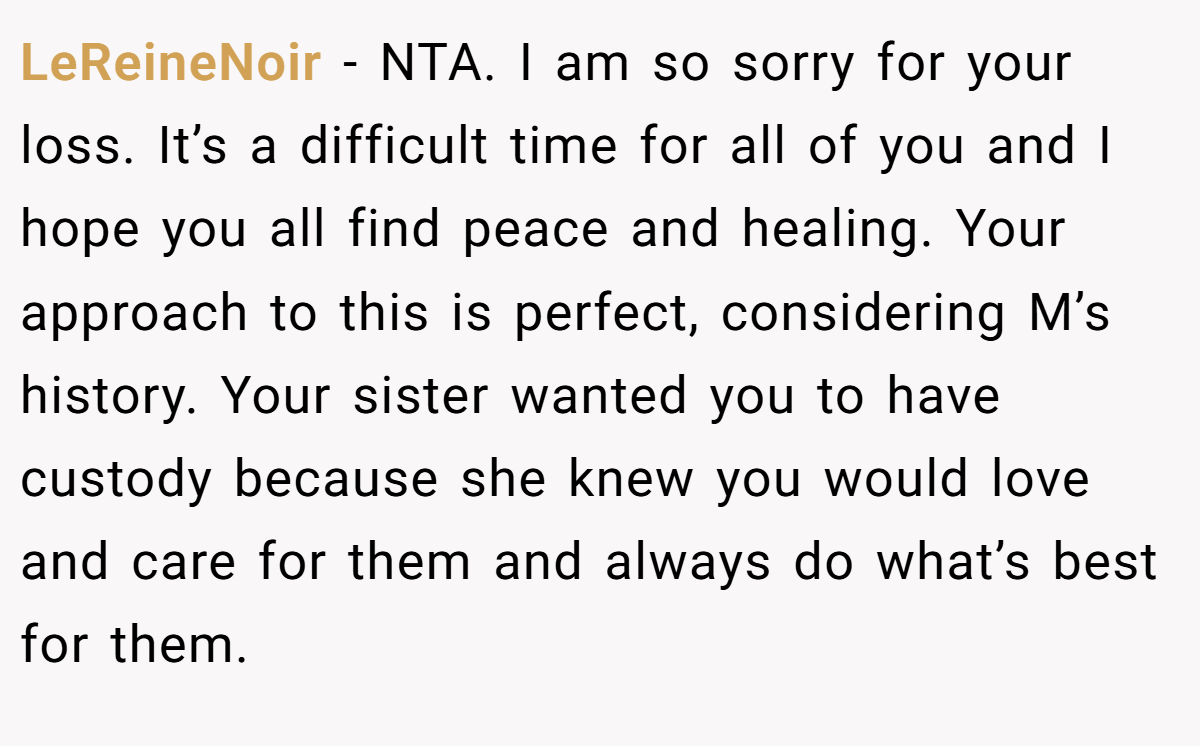 LeReineNoir - NTA. I am so sorry for your loss. It’s a difficult time for all of you and I hope you all find peace and healing. Your approach to this is perfect, considering M’s history. Your sister wanted you to have custody because she knew you would love and care for them and always do what’s best for them.