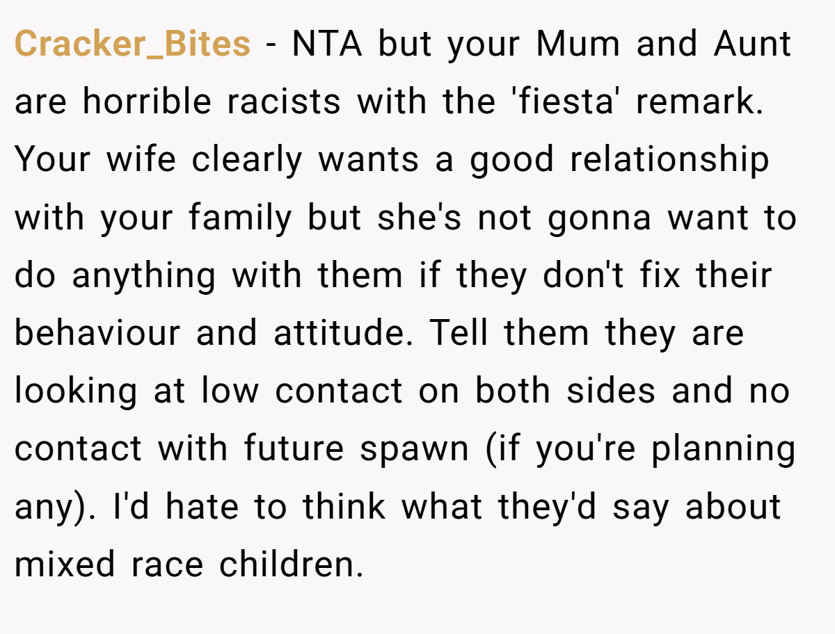 Cracker_Bites − NTA but your Mum and Aunt are horrible racists with the 'fiesta' remark. Your wife clearly wants a good relationship with your family but she's not gonna want to do anything with them if they don't fix their behaviour and attitude. Tell them they are looking at low contact on both sides and no contact with future spawn (if you're planning any). I'd hate to think what they'd say about mixed race children.