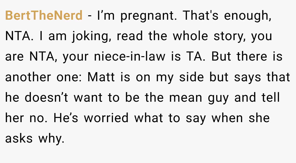 BertTheNerd - I’m pregnant. That's enough, NTA. I am joking, read the whole story, you are NTA, your niece-in-law is TA. But there is another one: Matt is on my side but says that he doesn’t want to be the mean guy and tell her no. He’s worried what to say when she asks why.