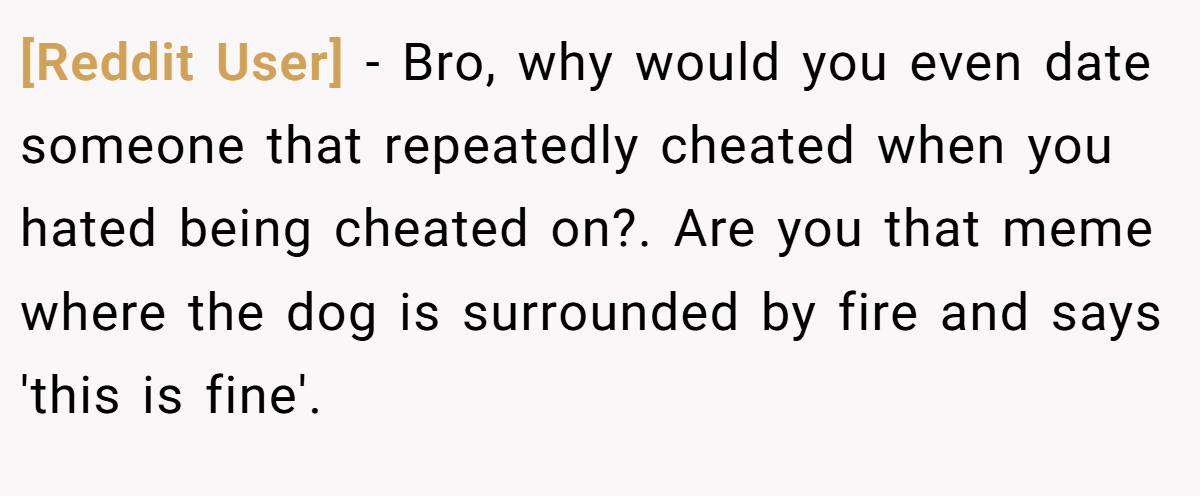 [Reddit User] − Bro, why would you even date someone that repeatedly cheated when you hated being cheated on?. Are you that meme where the dog is surrounded by fire and says 'this is fine'.