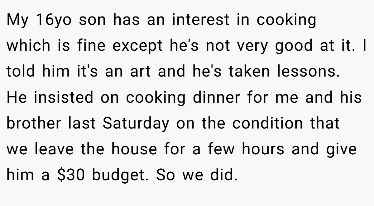 My 16yo son has an interest in cooking which is fine except he's not very good at it. I told him it's an art and he's taken lessons. He insisted on cooking dinner for me and his brother last Saturday on the condition that we leave the house for a few hours and give him a $30 budget. So we did.