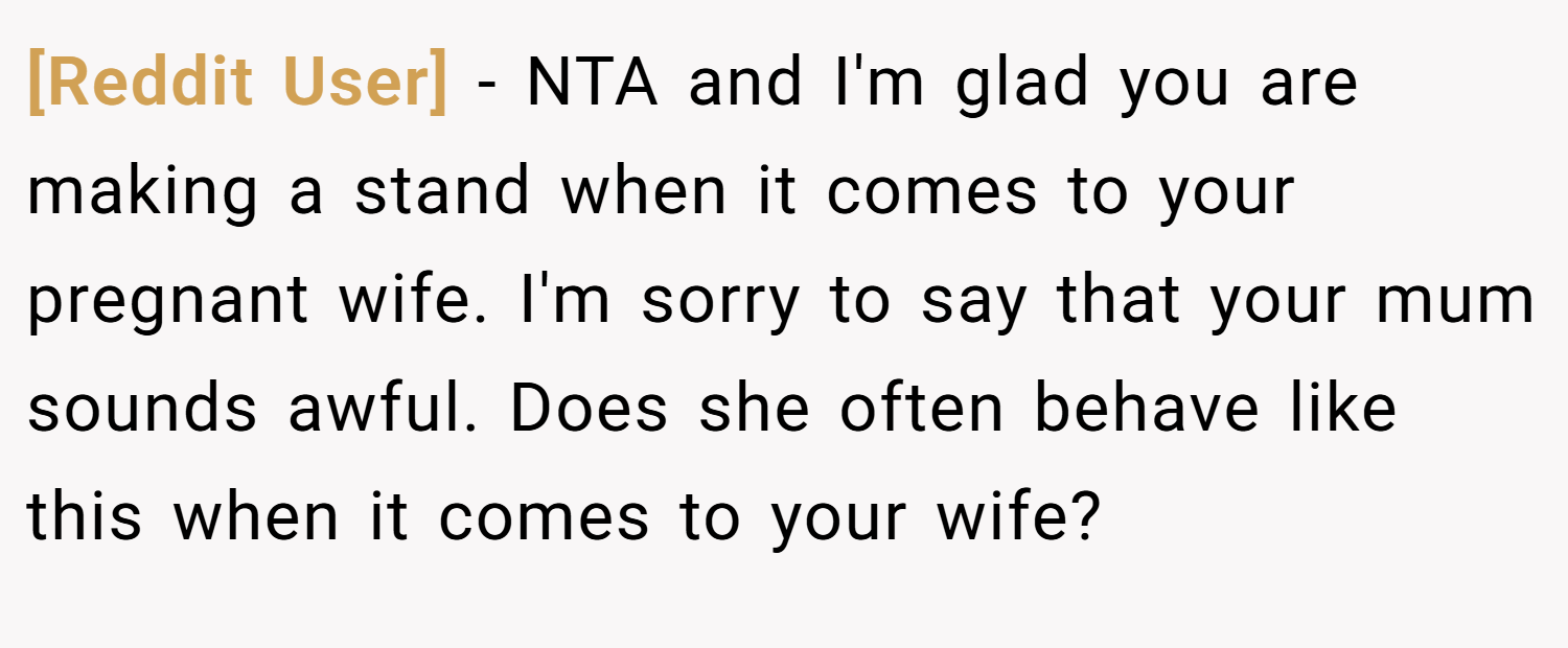 [Reddit User] − NTA and I'm glad you are making a stand when it comes to your pregnant wife. I'm sorry to say that your mum sounds awful. Does she often behave like this when it comes to your wife?