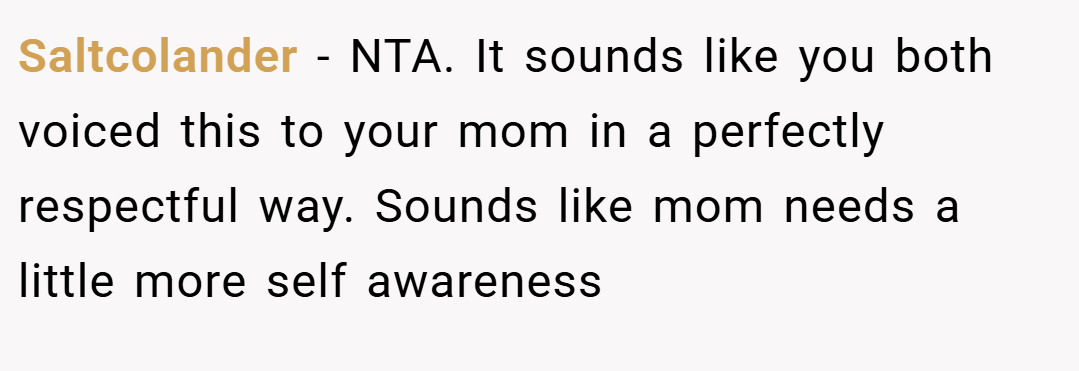 Saltcolander − NTA. It sounds like you both voiced this to your mom in a perfectly respectful way. Sounds like mom needs a little more self awareness