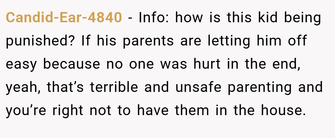 Candid-Ear-4840 − Info: how is this kid being punished? If his parents are letting him off easy because no one was hurt in the end, yeah, that’s terrible and unsafe parenting and you’re right not to have them in the house.