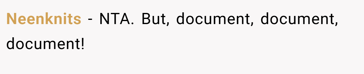 Neenknits − NTA. But, document, document, document!
