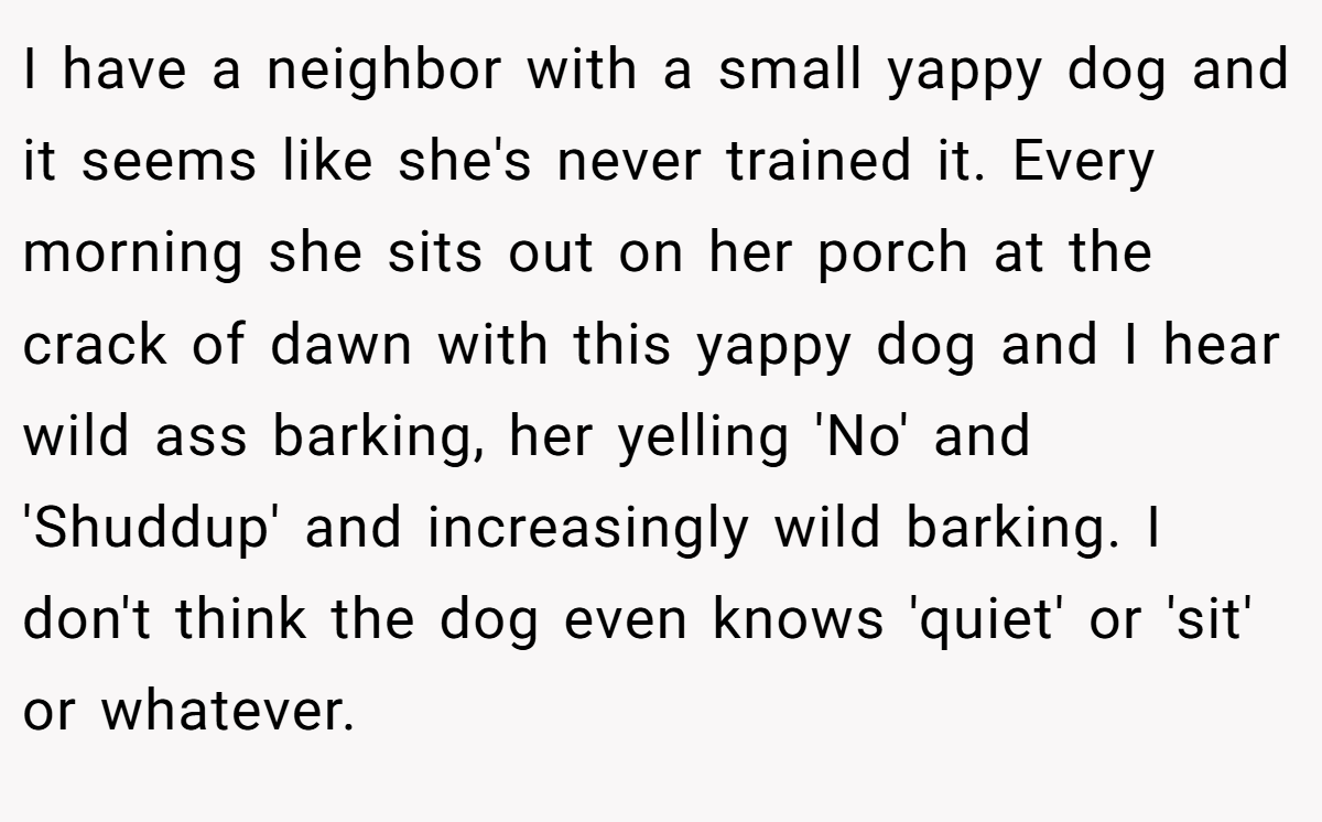 I have a neighbor with a small yappy dog and it seems like she's never trained it. Every morning she sits out on her porch at the crack of dawn with this yappy dog and I hear wild ass barking, her yelling 'No' and 'Shuddup' and increasingly wild barking. I don't think the dog even knows 'quiet' or 'sit' or whatever.