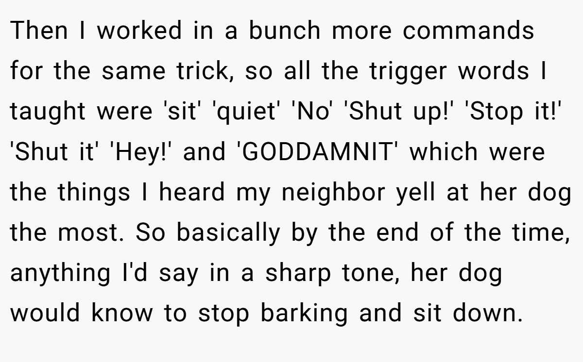 Then I worked in a bunch more commands for the same trick, so all the trigger words I taught were 'sit' 'quiet' 'No' 'Shut up!' 'Stop it!' 'Shut it' 'Hey!' and 'GODDAMNIT' which were the things I heard my neighbor yell at her dog the most. So basically by the end of the time, anything I'd say in a sharp tone, her dog would know to stop barking and sit down.