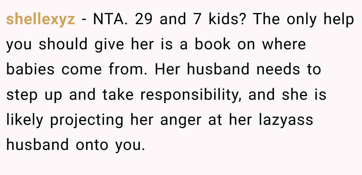 shellexyz - NTA. 29 and 7 kids? The only help you should give her is a book on where babies come from. Her husband needs to step up and take responsibility, and she is likely projecting her anger at her lazyass husband onto you.