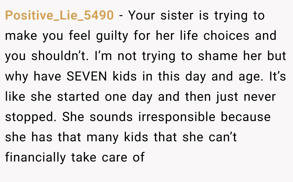 Positive_Lie_5490 - Your sister is trying to make you feel guilty for her life choices and you shouldn’t. I’m not trying to shame her but why have SEVEN kids in this day and age. It’s like she started one day and then just never stopped. She sounds irresponsible because she has that many kids that she can’t financially take care of
