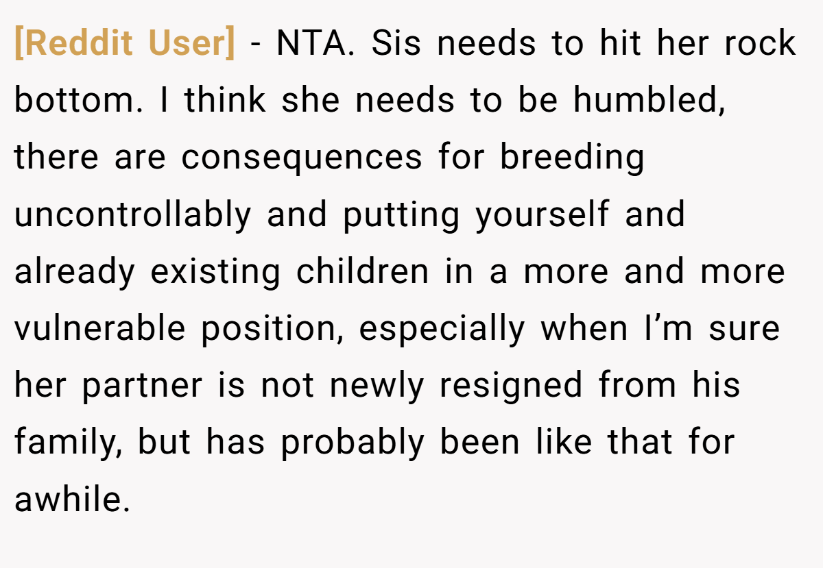 [Reddit User] - NTA. Sis needs to hit her rock bottom. I think she needs to be humbled, there are consequences for breeding uncontrollably and putting yourself and already existing children in a more and more vulnerable position, especially when I’m sure her partner is not newly resigned from his family, but has probably been like that for awhile.