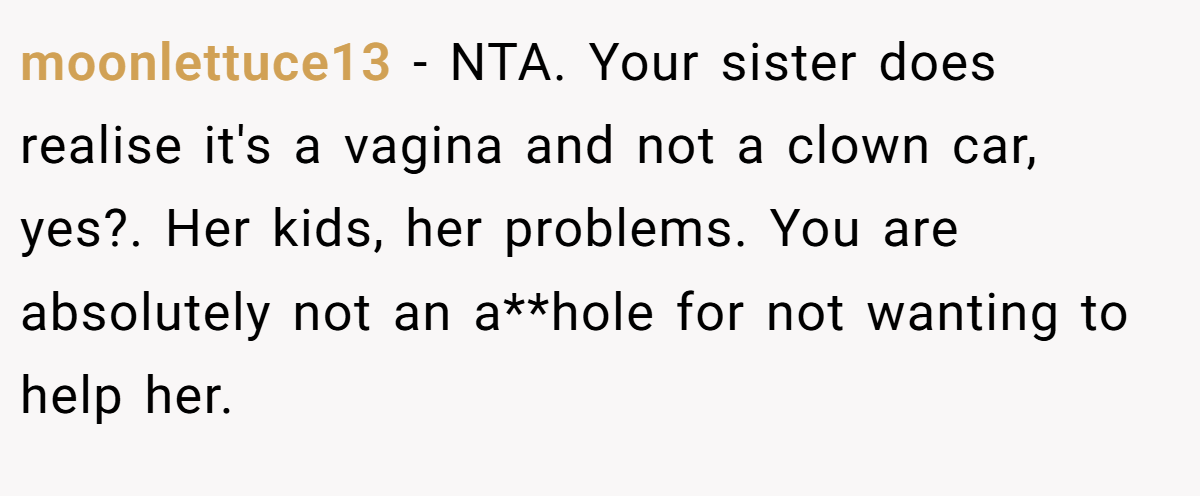 moonlettuce13 - NTA. Your sister does realise it's a vagina and not a clown car, yes?. Her kids, her problems. You are absolutely not an a**hole for not wanting to help her.