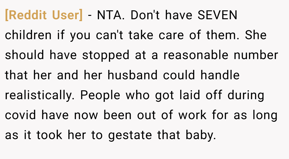 [Reddit User] - NTA. Don't have SEVEN children if you can't take care of them. She should have stopped at a reasonable number that her and her husband could handle realistically. People who got laid off during covid have now been out of work for as long as it took her to gestate that baby.