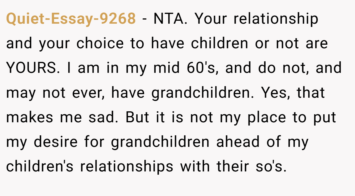 Quiet-Essay-9268 − NTA. Your relationship and your choice to have children or not are YOURS. I am in my mid 60's, and do not, and may not ever, have grandchildren. Yes, that makes me sad. But it is not my place to put my desire for grandchildren ahead of my children's relationships with their so's.