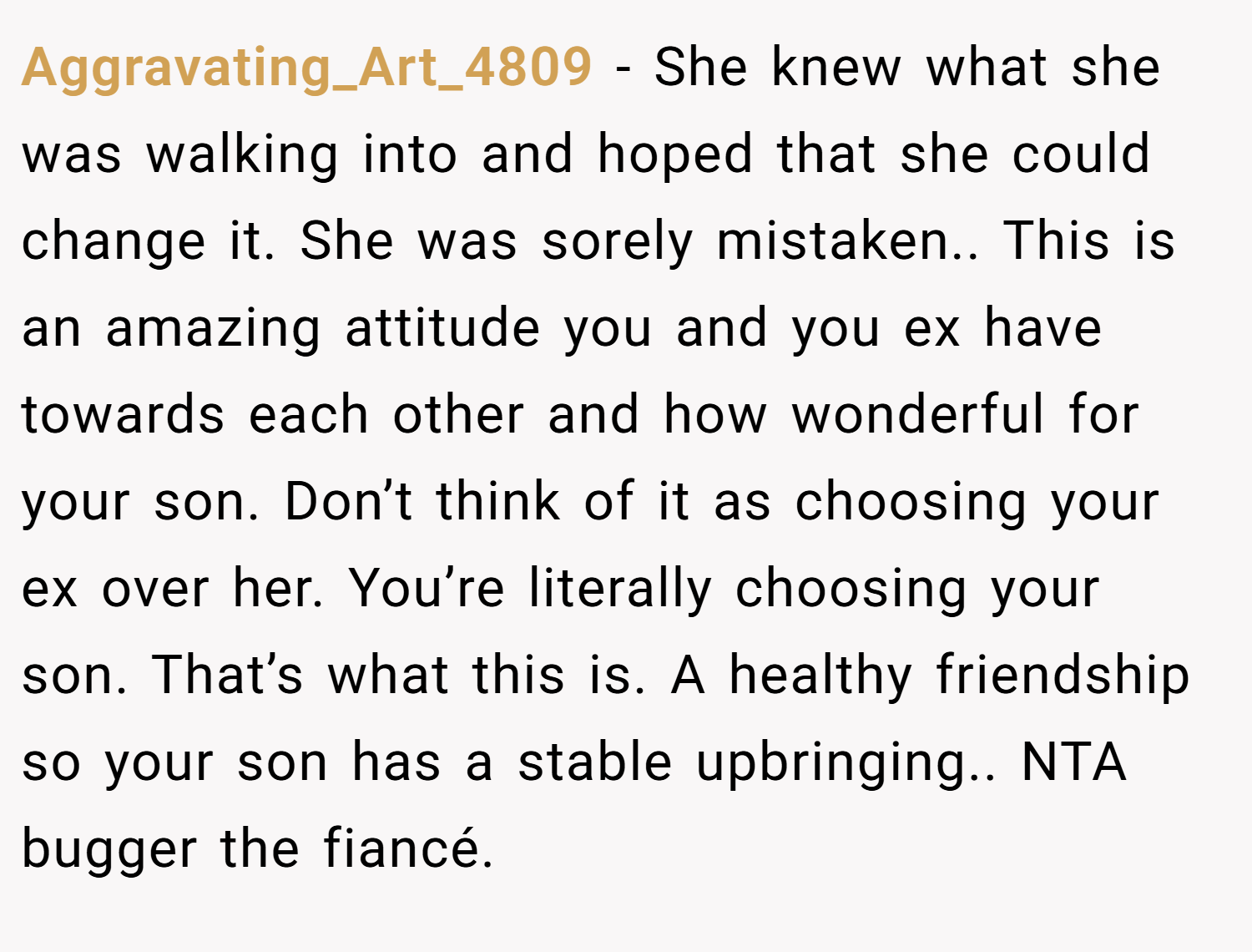 Aggravating_Art_4809 − She knew what she was walking into and hoped that she could change it. She was sorely mistaken.. This is an amazing attitude you and you ex have towards each other and how wonderful for your son. Don’t think of it as choosing your ex over her. You’re literally choosing your son. That’s what this is. A healthy friendship so your son has a stable upbringing.. NTA bugger the fiancé.