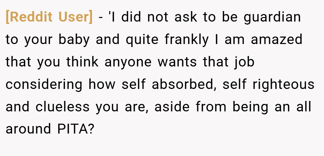 [Reddit User] − 'I did not ask to be guardian to your baby and quite frankly I am amazed that you think anyone wants that job considering how self absorbed, self righteous and clueless you are, aside from being an all around PITA?