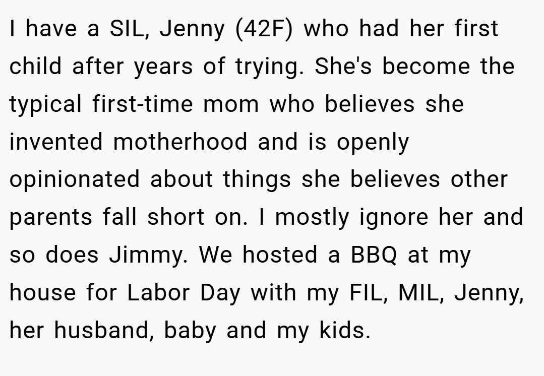 I have a SIL, Jenny (42F) who had her first child after years of trying. She's become the typical first-time mom who believes she invented motherhood and is openly opinionated about things she believes other parents fall short on. I mostly ignore her and so does Jimmy. We hosted a BBQ at my house for Labor Day with my FIL, MIL, Jenny, her husband, baby and my kids.