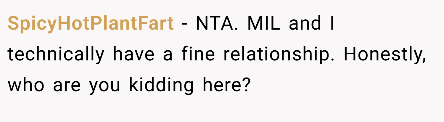 SpicyHotPlantFart − NTA. MIL and I technically have a fine relationship. Honestly, who are you kidding here?