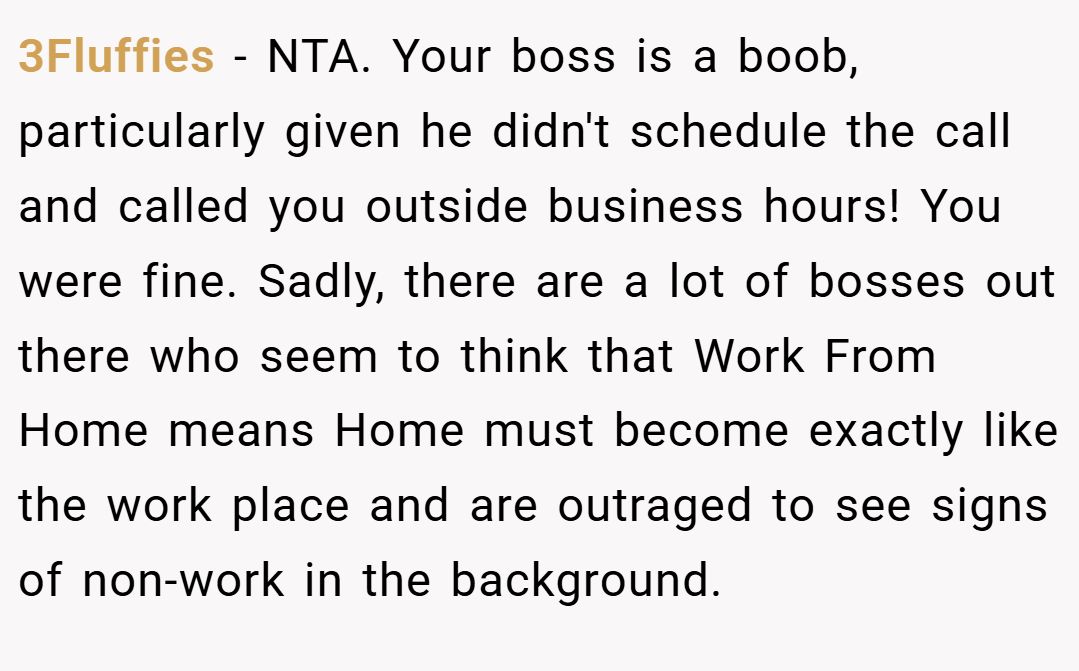 3Fluffies − NTA. Your boss is a boob, particularly given he didn't schedule the call and called you outside business hours! You were fine. Sadly, there are a lot of bosses out there who seem to think that Work From Home means Home must become exactly like the work place and are outraged to see signs of non-work in the background.