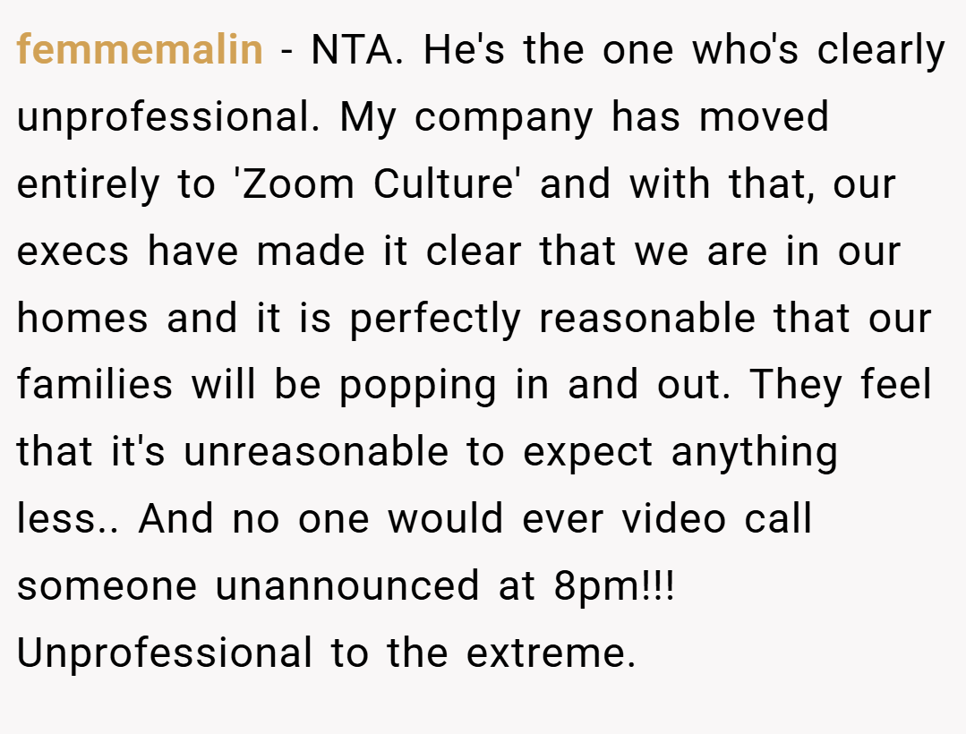 femmemalin − NTA. He's the one who's clearly unprofessional. My company has moved entirely to 'Zoom Culture' and with that, our execs have made it clear that we are in our homes and it is perfectly reasonable that our families will be popping in and out. They feel that it's unreasonable to expect anything less.. And no one would ever video call someone unannounced at 8pm!!! Unprofessional to the extreme.