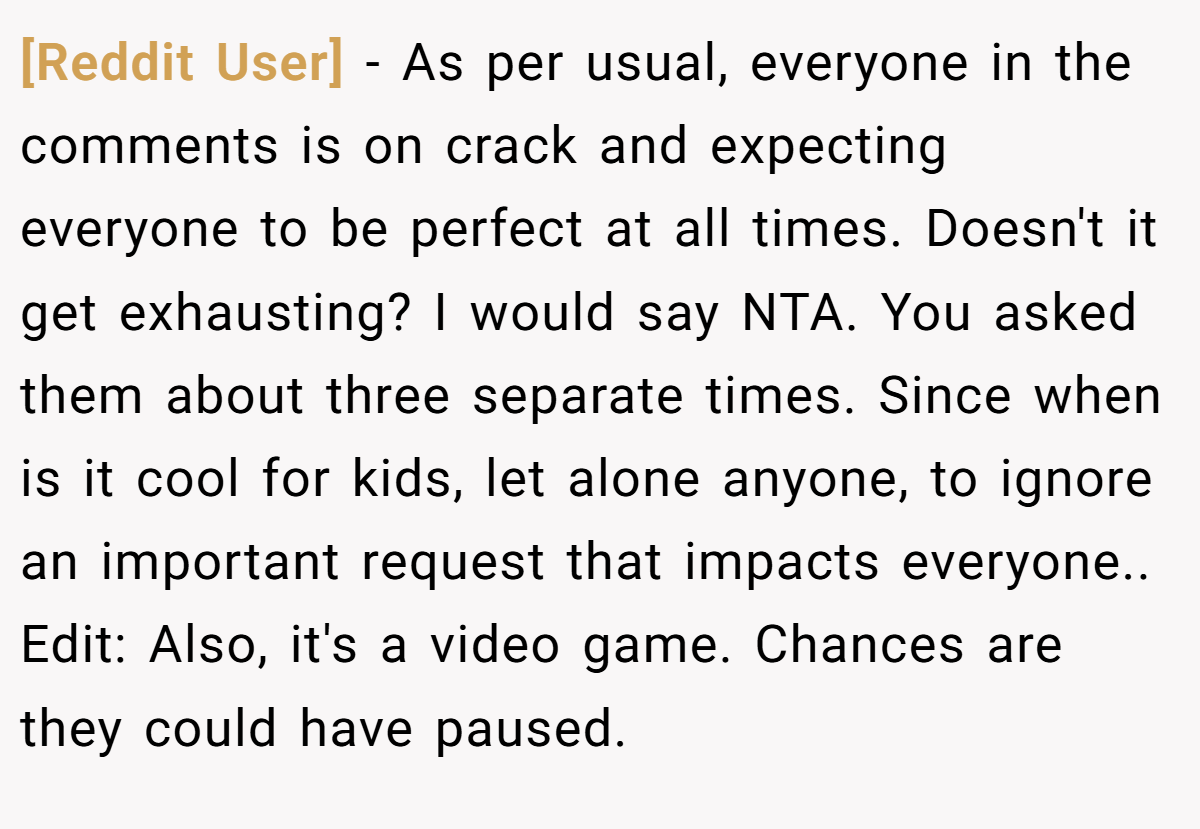 [Reddit User] − As per usual, everyone in the comments is on crack and expecting everyone to be perfect at all times. Doesn't it get exhausting? I would say NTA. You asked them about three separate times. Since when is it cool for kids, let alone anyone, to ignore an important request that impacts everyone.. Edit: Also, it's a video game. Chances are they could have paused.