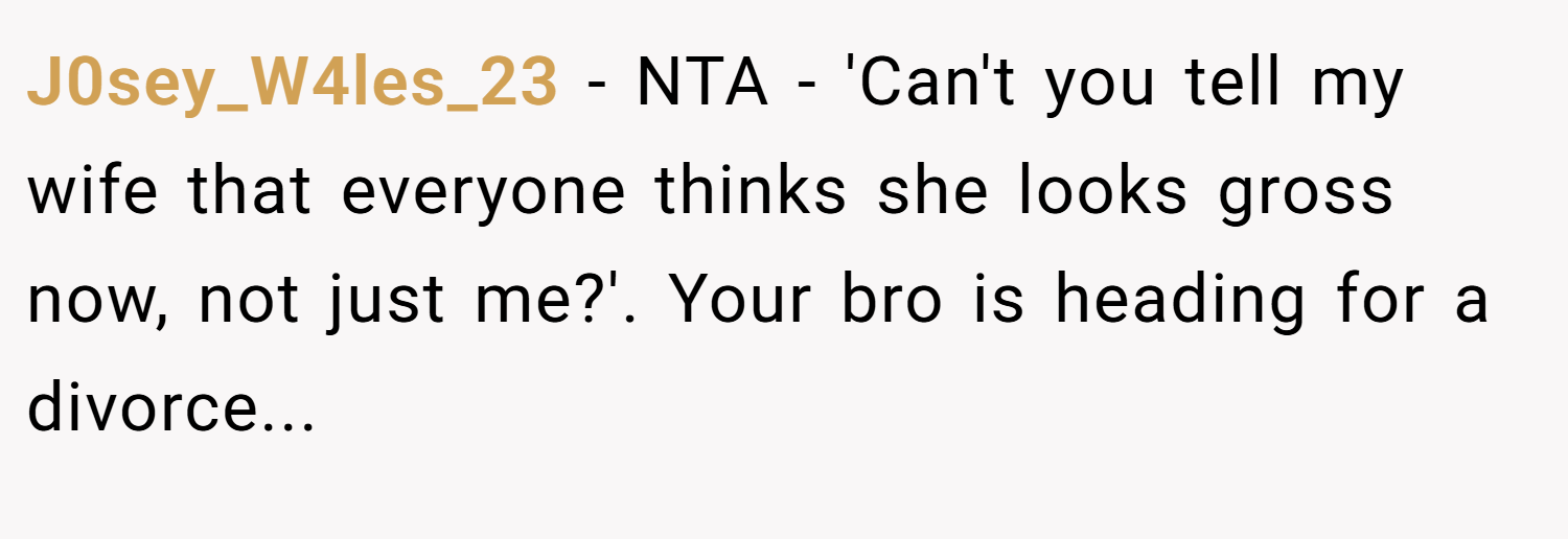 J0sey_W4les_23 − NTA - 'Can't you tell my wife that everyone thinks she looks gross now, not just me?'. Your bro is heading for a divorce...
