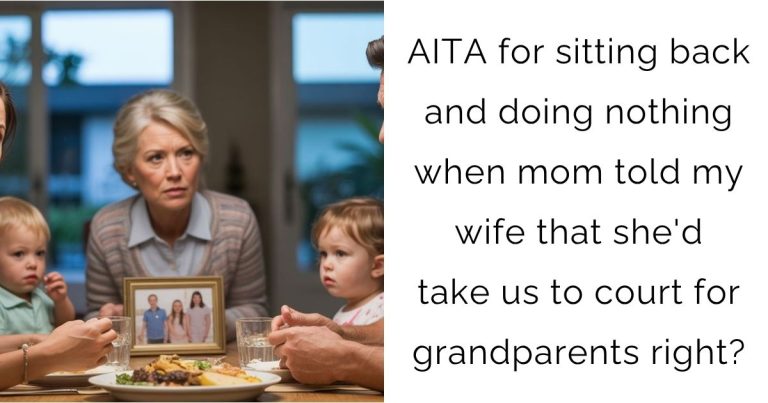 AITA for sitting back and doing nothing when mom told my wife that she’d take us to court for grandparents right?