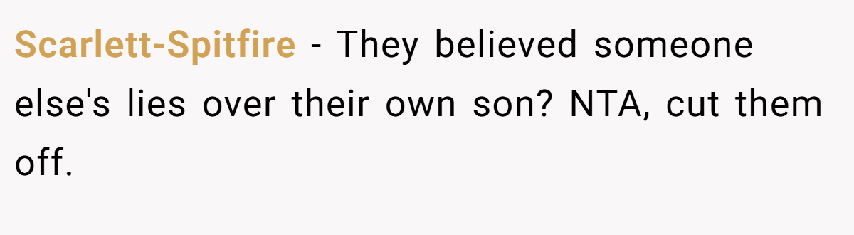 Scarlett-Spitfire - They believed someone else's lies over their own son? NTA, cut them off.