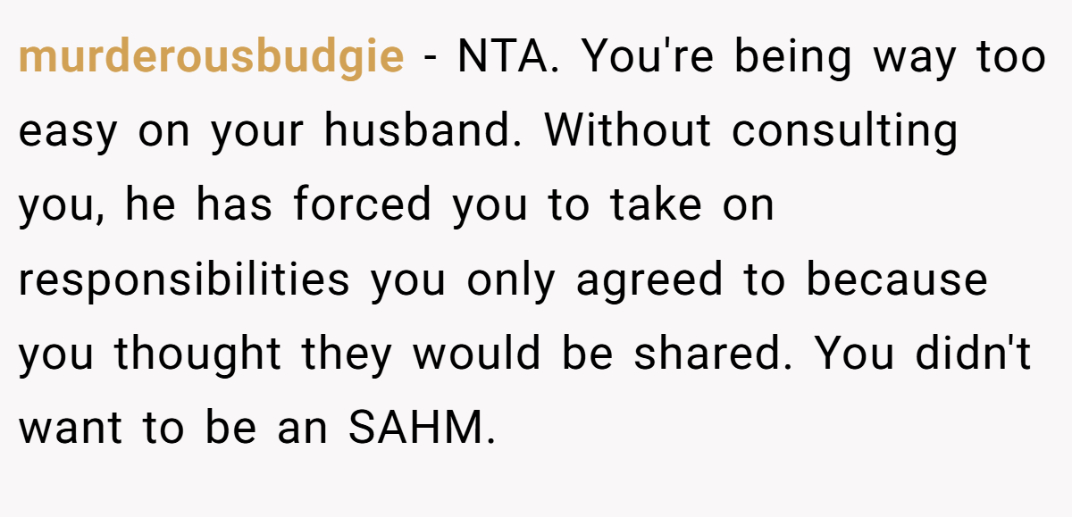murderousbudgie − NTA. You're being way too easy on your husband. Without consulting you, he has forced you to take on responsibilities you only agreed to because you thought they would be shared. You didn't want to be an SAHM.