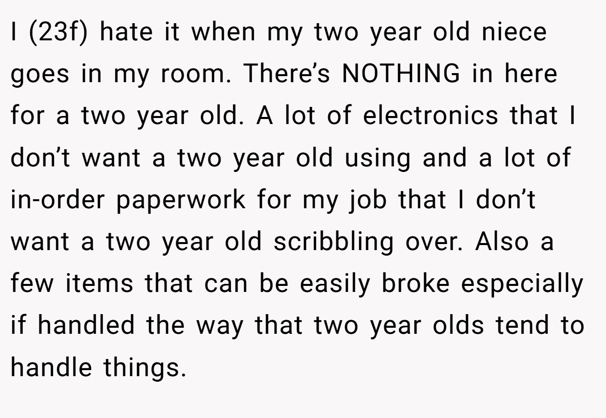 I (23f) hate it when my two year old niece goes in my room. There’s NOTHING in here for a two year old. A lot of electronics that I don’t want a two year old using and a lot of in-order paperwork for my job that I don’t want a two year old scribbling over. Also a few items that can be easily broke especially if handled the way that two year olds tend to handle things.