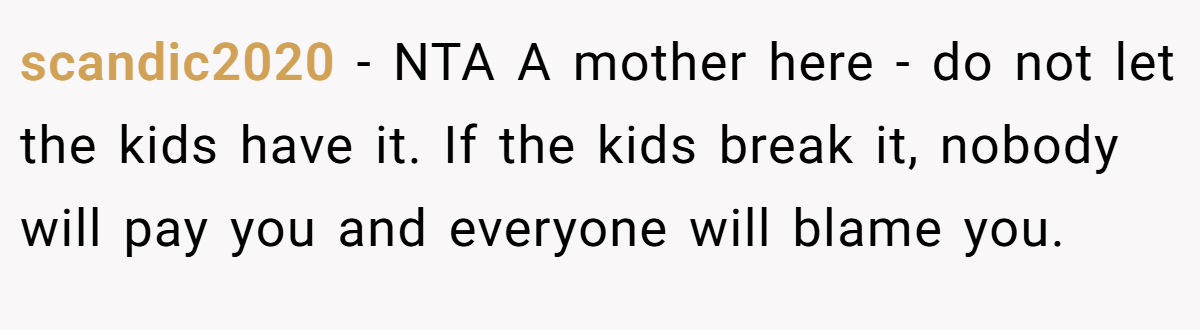 scandic2020 - NTA A mother here - do not let the kids have it. If the kids break it, nobody will pay you and everyone will blame you.