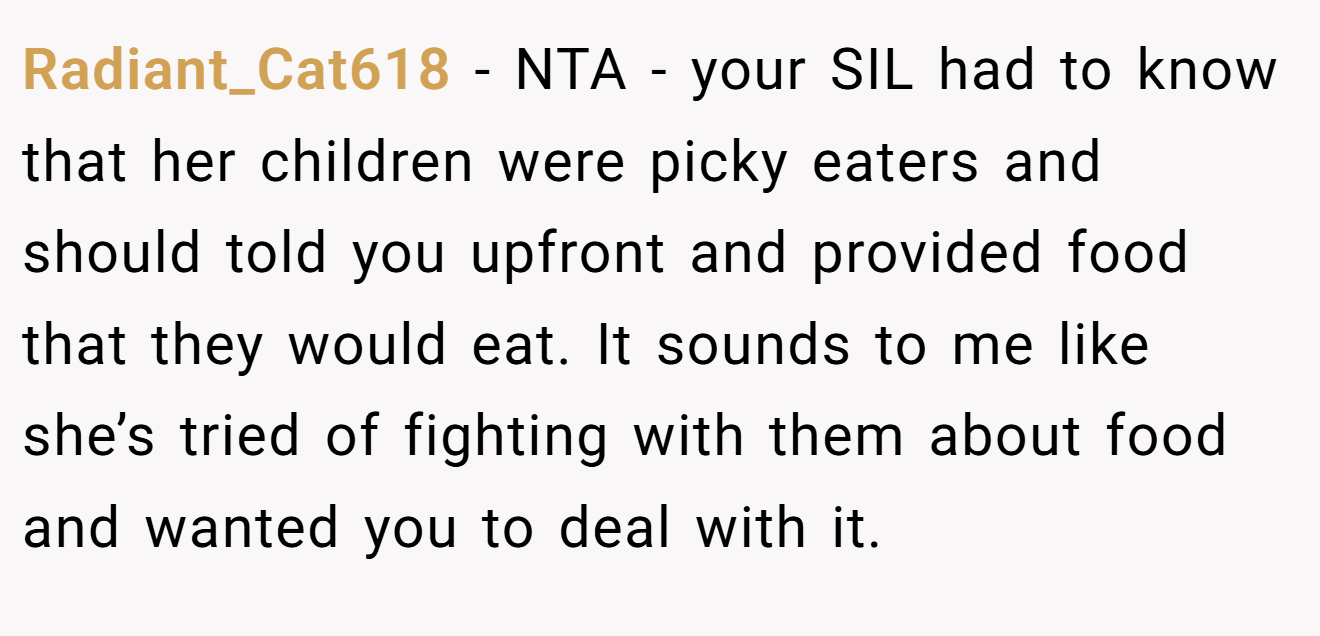 Radiant_Cat618 - NTA - your SIL had to know that her children were picky eaters and should told you upfront and provided food that they would eat. It sounds to me like she’s tried of fighting with them about food and wanted you to deal with it.