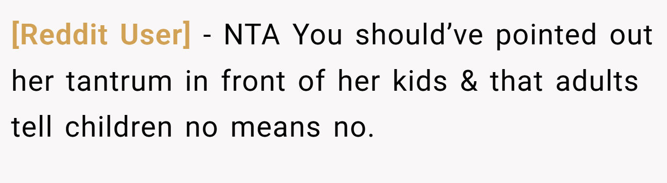 [Reddit User] - NTA You should’ve pointed out her tantrum in front of her kids & that adults tell children no means no.