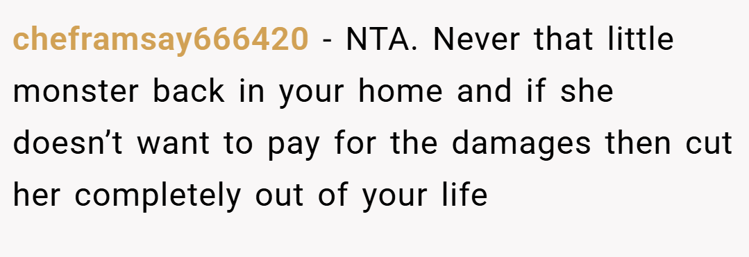 cheframsay666420 − NTA. Never that little monster back in your home and if she doesn’t want to pay for the damages then cut her completely out of your life