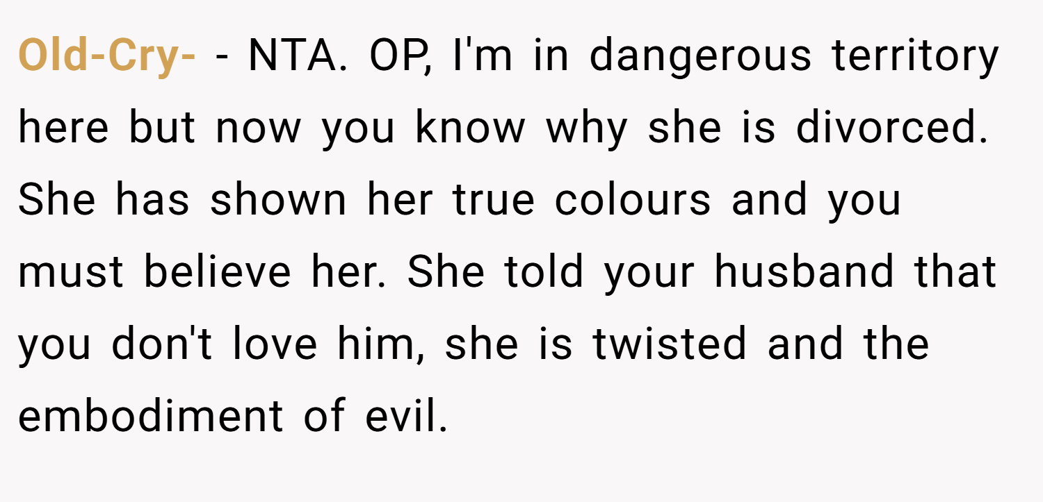 Old-Cry- − NTA. OP, I'm in dangerous territory here but now you know why she is divorced. She has shown her true colours and you must believe her. She told your husband that you don't love him, she is twisted and the embodiment of evil.