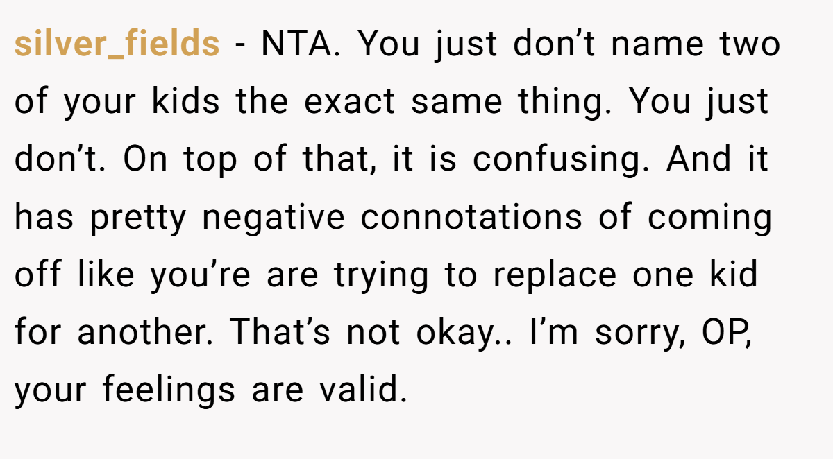 silver_fields − NTA. You just don’t name two of your kids the exact same thing. You just don’t. On top of that, it is confusing. And it has pretty negative connotations of coming off like you’re are trying to replace one kid for another. That’s not okay.. I’m sorry, OP, your feelings are valid.