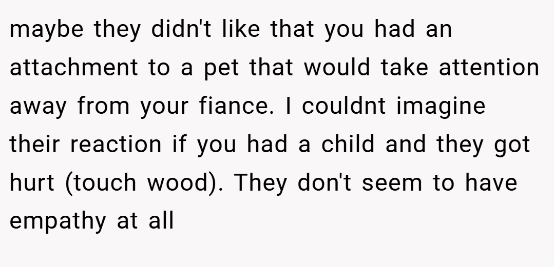 maybe they didn't like that you had an attachment to a pet that would take attention away from your fiance. I couldnt imagine their reaction if you had a child and they got hurt (touch wood). They don't seem to have empathy at all
